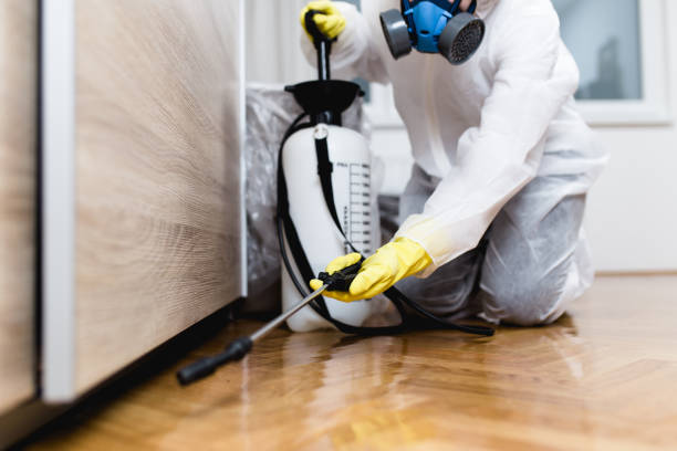 Best Ant Control Services  in Meadow Vale, KY