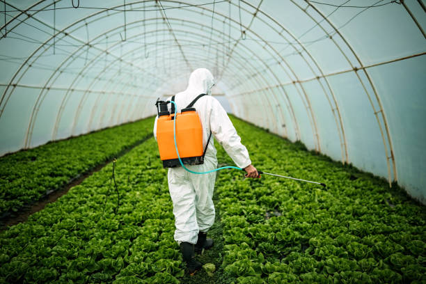 Best Pest Control Near Me  in Meadow Vale, KY