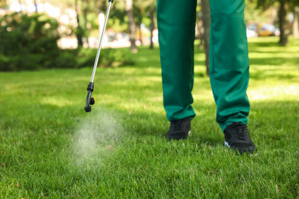 Best Affordable Pest Control Services  in Meadow Vale, KY