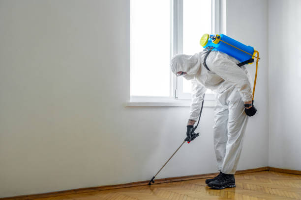 Best Pest Removal Services  in Meadow Vale, KY