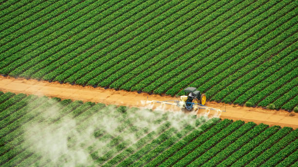 Best Insect Control  in Meadow Vale, KY