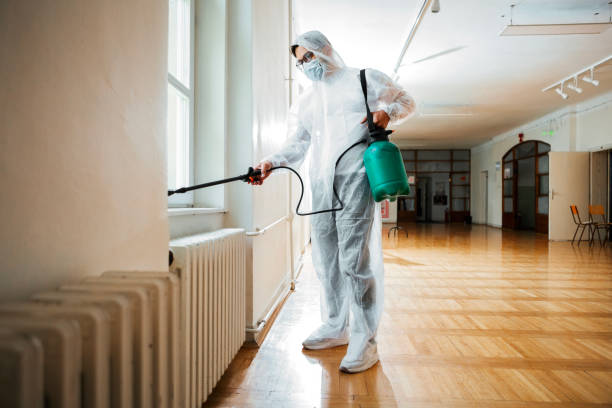 Best Residential Pest Control  in Meadow Vale, KY