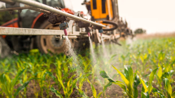 Pest Control Cost in Meadow Vale, KY